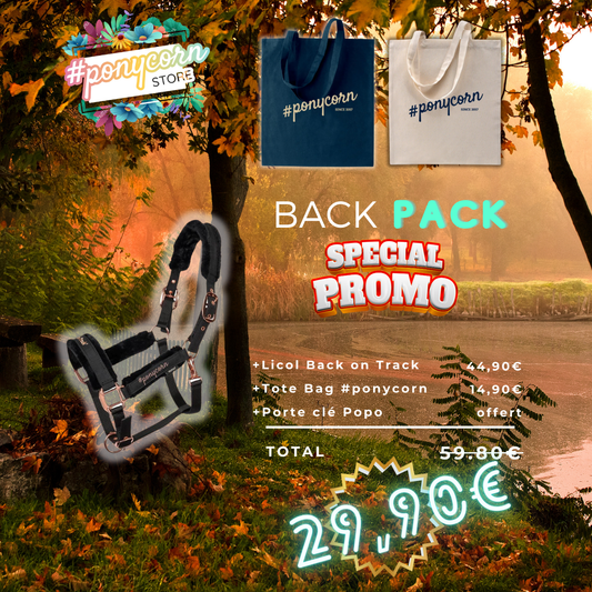 Back Pack - Licol & Tote Bag