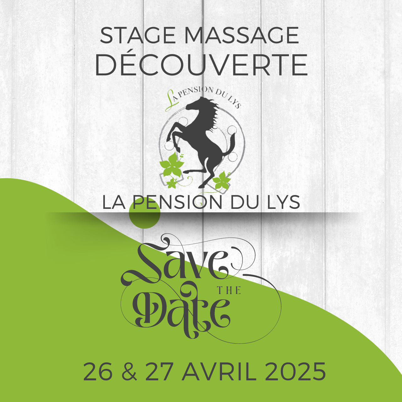 Masterclass Massage Découverte - 2 jours (17)