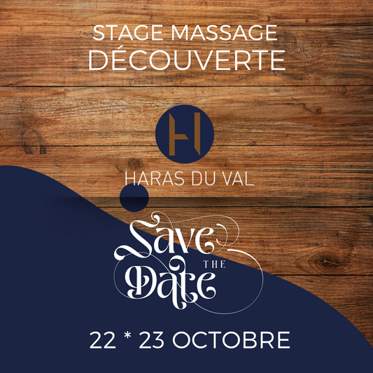 Masterclass Massage Découverte - 2 jours (95)